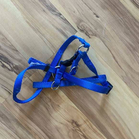 Treat your little fur ball size XS - Picture 9 of 16